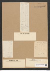 Grammatophora oceanica var. macilenta Grun. (de-Toni-Nr.: Genus 93, Species 3036) Zeichnungen Sammlung Grunow Nr. 6157 (NHMW-BOT-W0374720)